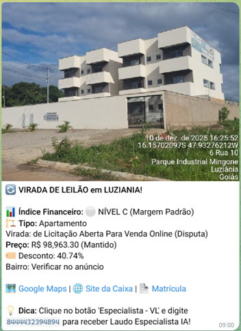 Alerta Virada de Leilão